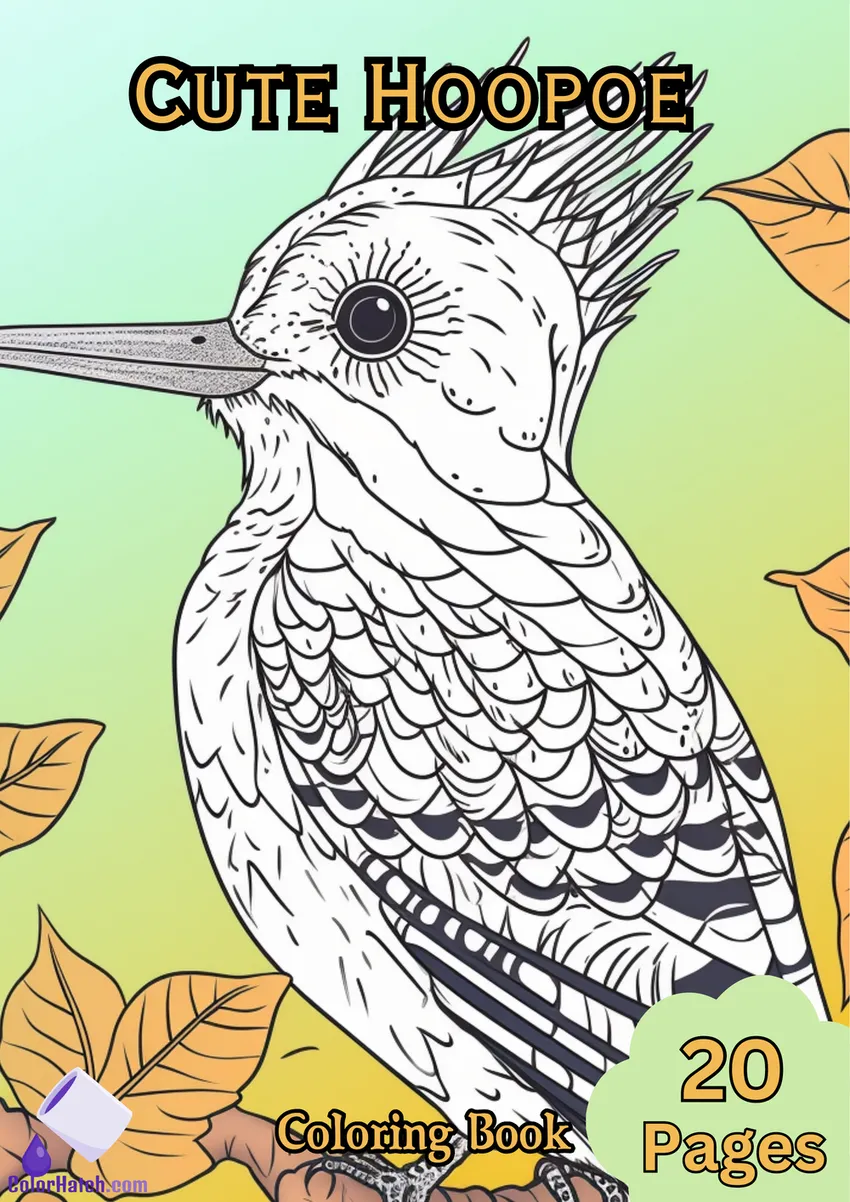 Hoopoe Coloring Book